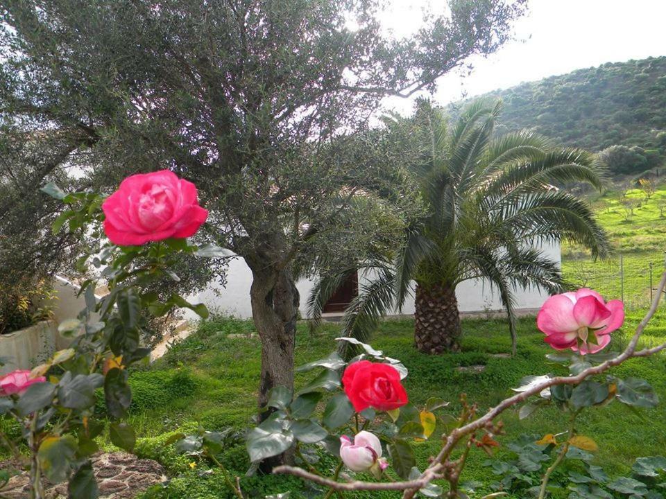 Agriturismo Sa Conca Ruia Orosei Exterior foto
